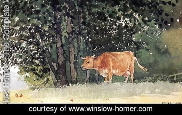 Winslow Homer - Cow in Pasture