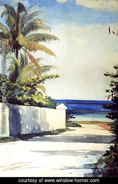 Winslow Homer - Road in Nassau