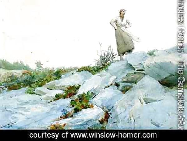 Winslow Homer - The Faggot Gatherer