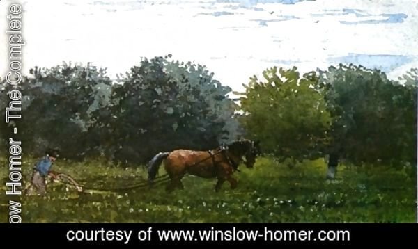 Winslow Homer - Horse and Plowman, Houghton Farm