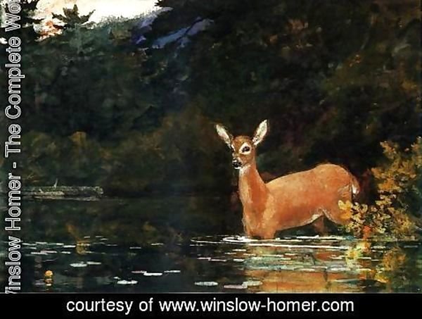 Winslow Homer - Solitude