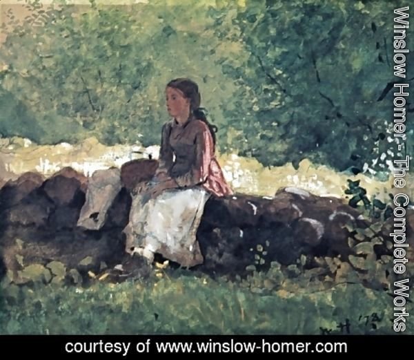 Winslow Homer - On the Fence I