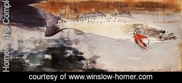 Winslow Homer - Sea Trout