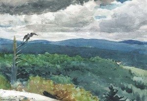 Winslow Homer - Hilly Landscape