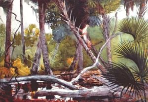 Winslow Homer - In the jungle, Florida