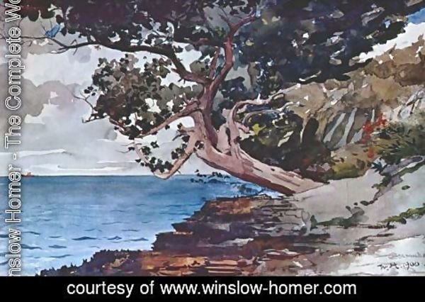 Winslow Homer - North road, Bermuda 2