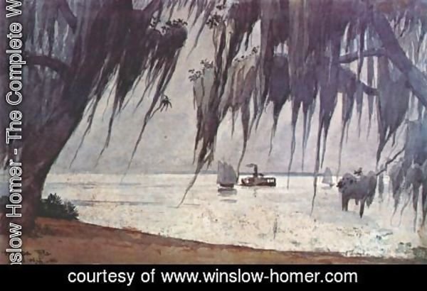Winslow Homer - Spanish moss at tampa