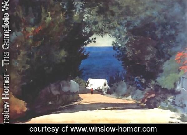 Winslow Homer - Road in Bermuda